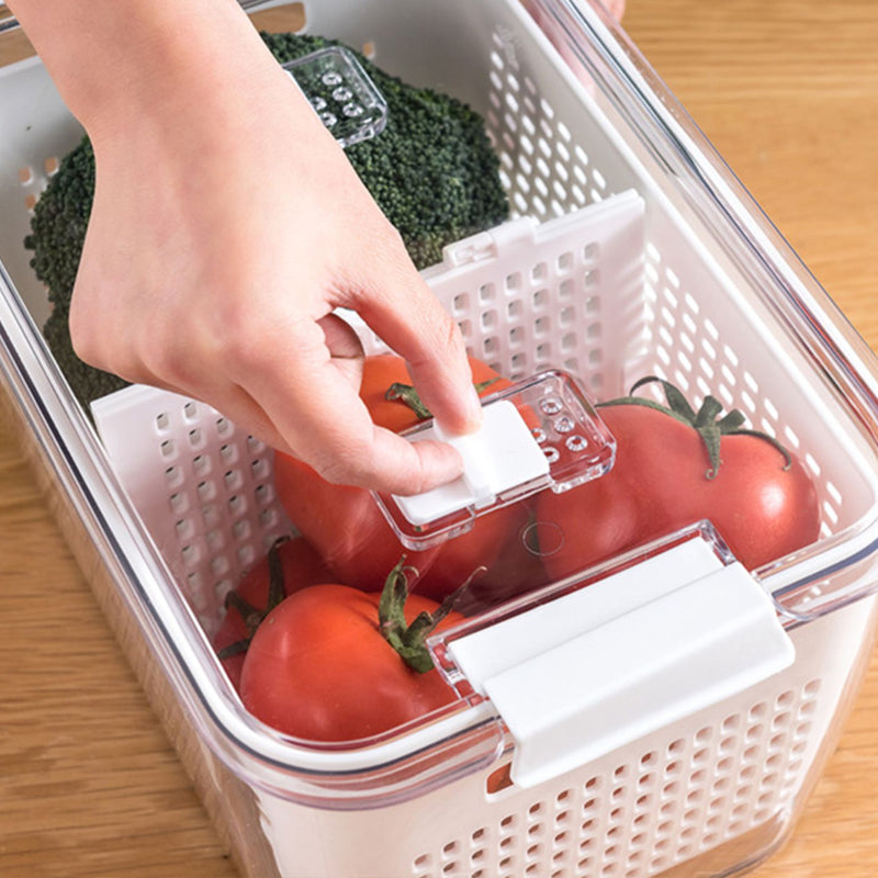Verse groenten fruit opslag container
