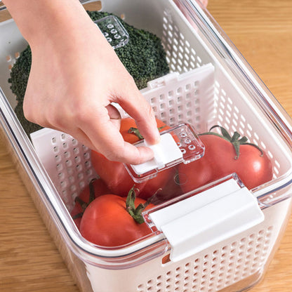 Verse groenten fruit opslag container